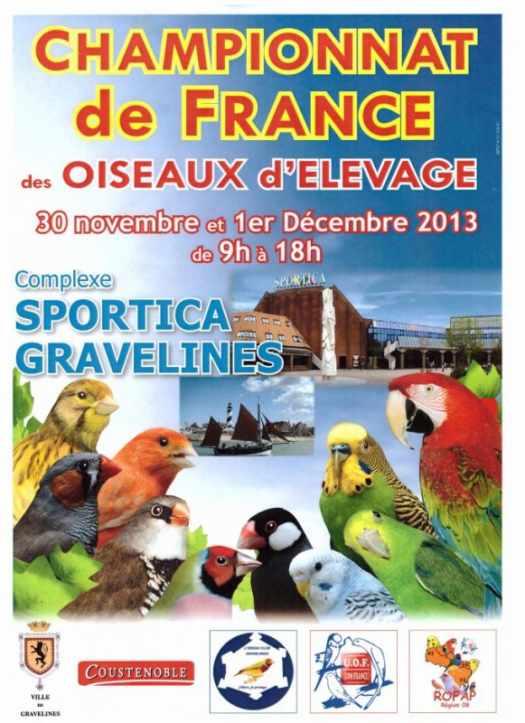 Affiche france 2013