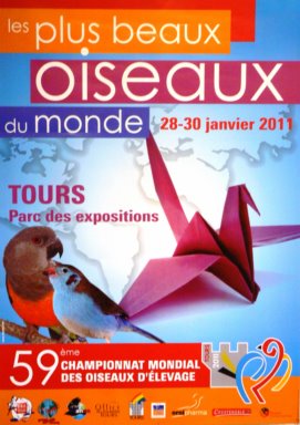 Affiche mondial 2011