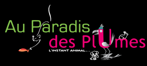 Paradis